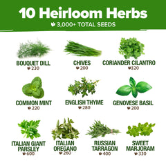 Growing guide included in the HOME GROWN herb kit