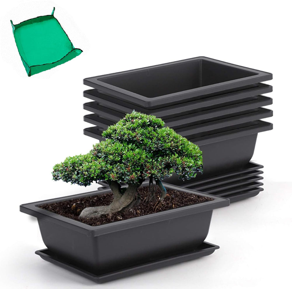 GROWNEER 9 Inch Bonsai Pot with drainage tray, black