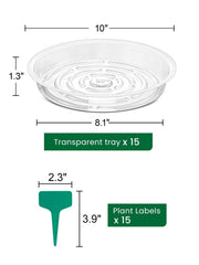 GROWNEER clear plant saucer with decorative rocks