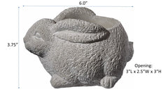 GROWSCAPE Rabbit Planter on a patio table