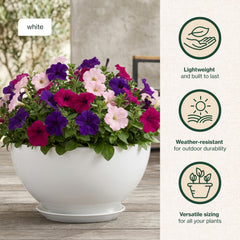 GROWSCAPE Rosie Planter Bowl with attached saucer