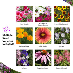 GROWTRAX seed mat in a sunny garden with blooming wildflowers