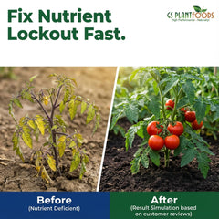 GS Plant Foods Liquid Fish & Kelp Fertilizer pouring into a watering can