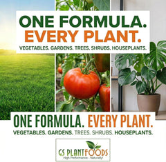 GS Plant Foods Liquid Kelp Fertilizer 1 Quart with measuring cup