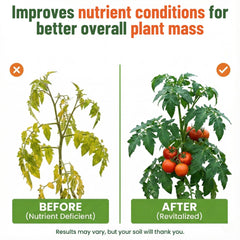 GS Plant Foods Liquid Kelp Fertilizer displayed in a garden setting