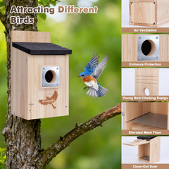 Gtongoko birdhouse interior with ventilation holes and mesh