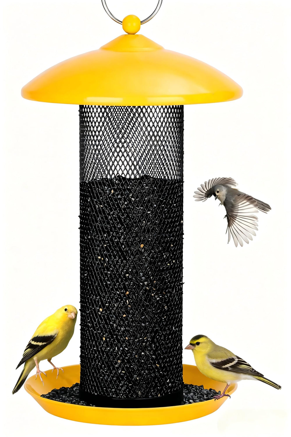 Gtongoko Finch Feeder front view with yellow metal mesh