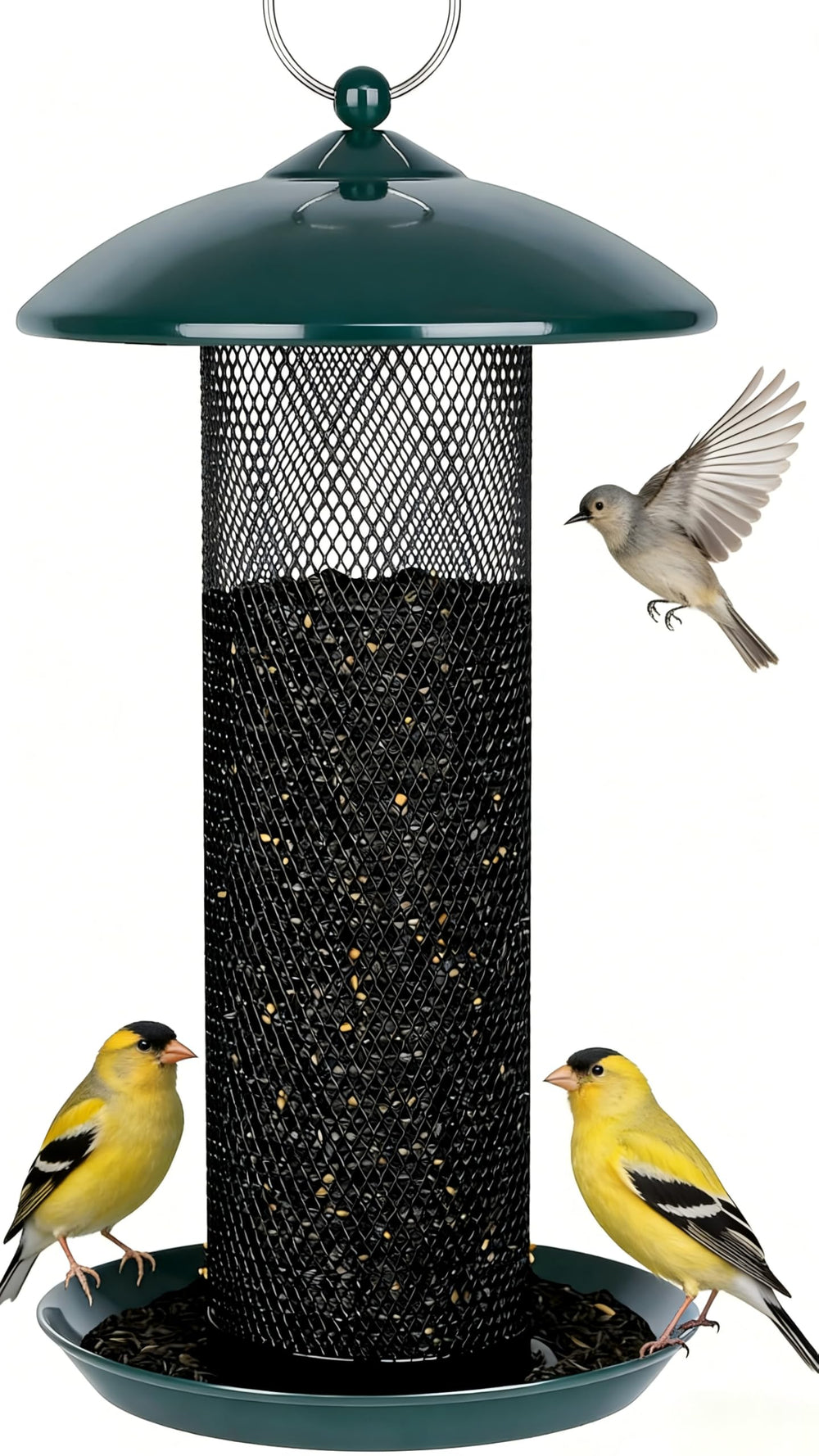 Gtongoko Finch Feeder green model front view with mesh design