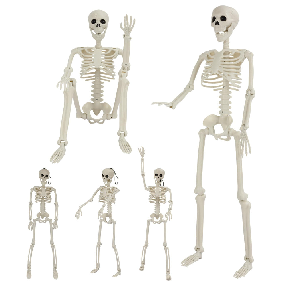 GTYZZH 36 inch skeleton with adjustable joints, front view