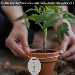 Guatbsecure plant stakes in a potted plant arrangement