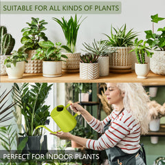 GUKJOB stainless steel watering can on a table with houseplants