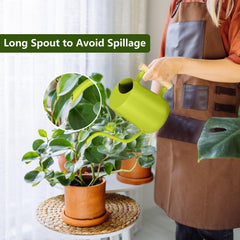 GUKJOB watering can with long spout shown watering plants