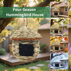 Gute mushroom-shaped hummingbird house hanging outdoors