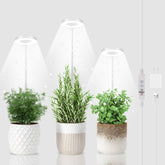 GYTF Halo Grow Light 3 Pack with adjustable height
