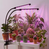 H HNMA HN 2 Head Grow Light black model with adjustable goosenecks