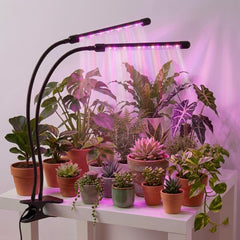 H HNMA HN 2 Head Grow Light black model with adjustable goosenecks