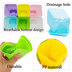 Haawooky 3-inch plastic pot with drainage holes
