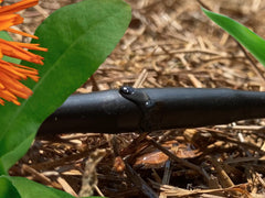 Habitech drip irrigation tubing laid out in a garden