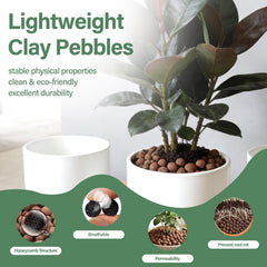 Halatool 6LB clay pebbles in a gardening setting