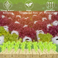Halatool rockwool cubes in use with seedlings