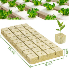 Halatool Rockwool Cubes showing individual cubes