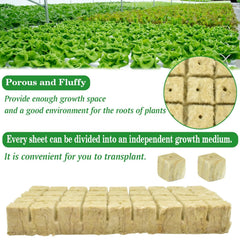 Halatool rockwool cubes showing texture