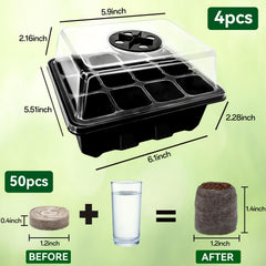 Halatool Seed Starter Trays with seedlings growing inside