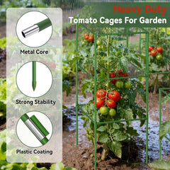 Halatool tomato cage showing adjustable height feature