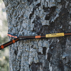 Hammock straps attached to a tree in a forest setting