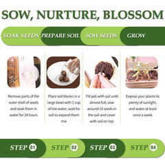 Hand tools included in the ROOTCRAFT Bonsai Tree Kit