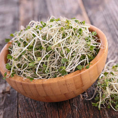 Handy Pantry Organic Broccoli Sprouts Seed in a sprouting jar