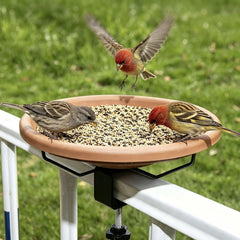 Hanizi Bird Bath with garden birds drinking