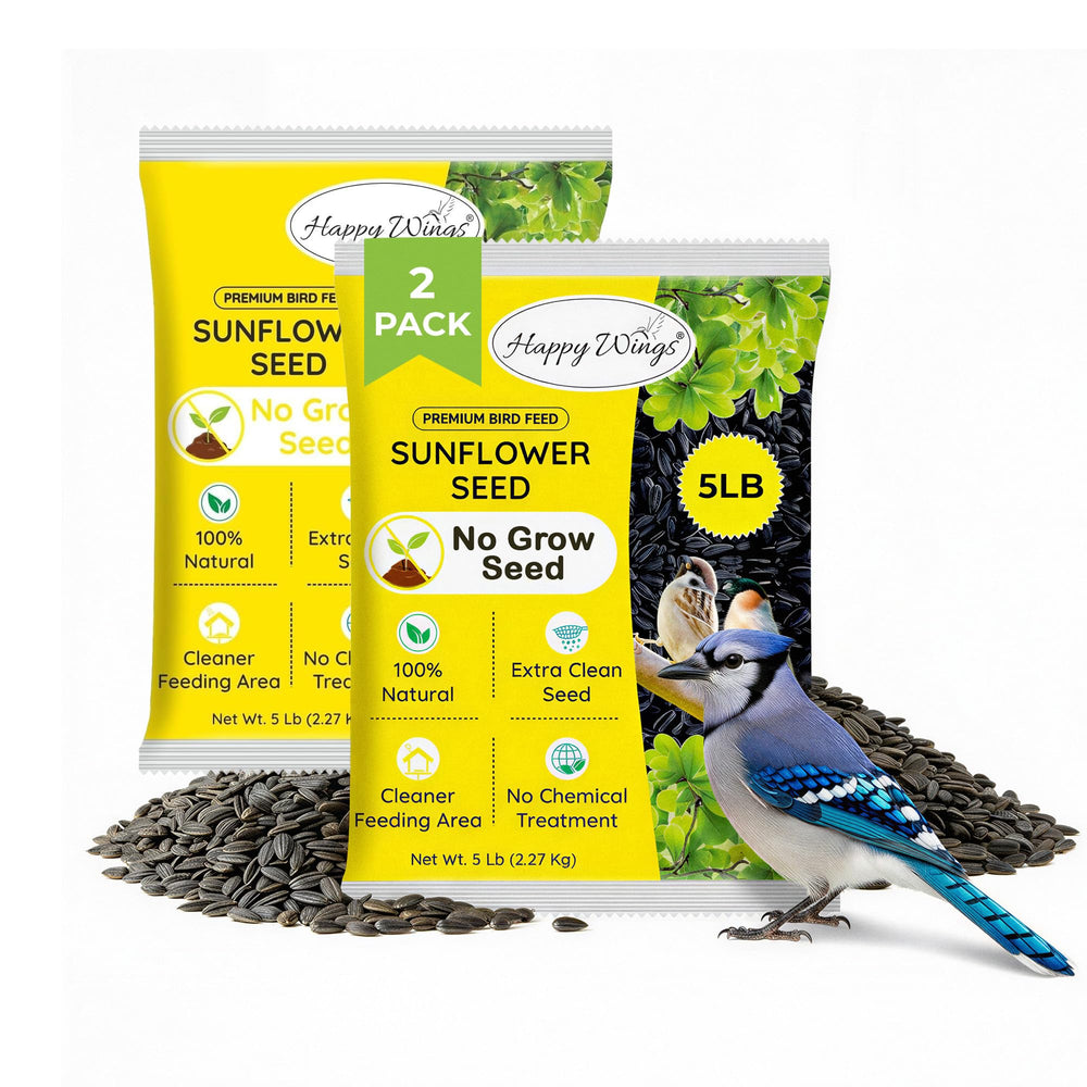 Happy Wings 10 LB Black Oil Sunflower Seeds front view