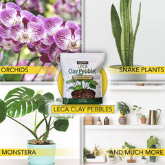 HARRIS LECA clay pebbles in a pot with orchids