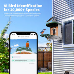 HARYMOR bird feeder camera with solar panel