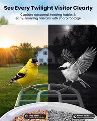 HARYMOR Bird Feeder with solar panel for year-round operation