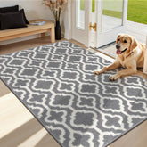 HEBE Door Mat Indoor Entrance 32"x48" front view