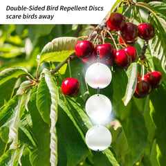 Hedoc Reflective Bird Scare Disc, double-sided reflective surface
