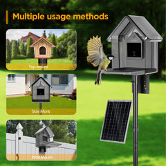height-adjustable bird feeder pole set with 5-prong base