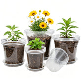 Hemikaki 20 Pack Clear Plastic Nursery Pots with saucers