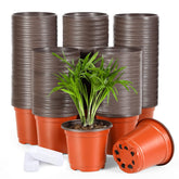Hemikaki 4 Inch Nursery Pots red color front view