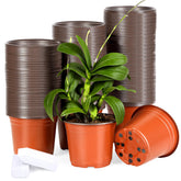 Hemikaki 6 Inch nursery pots red with drainage holes