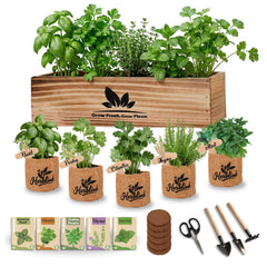 Herblink Indoor Herb Garden Starter Kit with wooden planter box