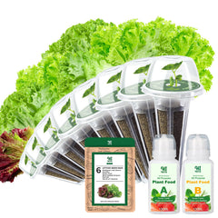 HiHOYA Lettuce Seed Pod Kit packaging front view