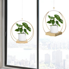 hismocal Hanging Planter with plants for illustration