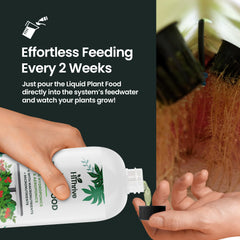 HiThrive liquid fertilizer in a hydroponic setup