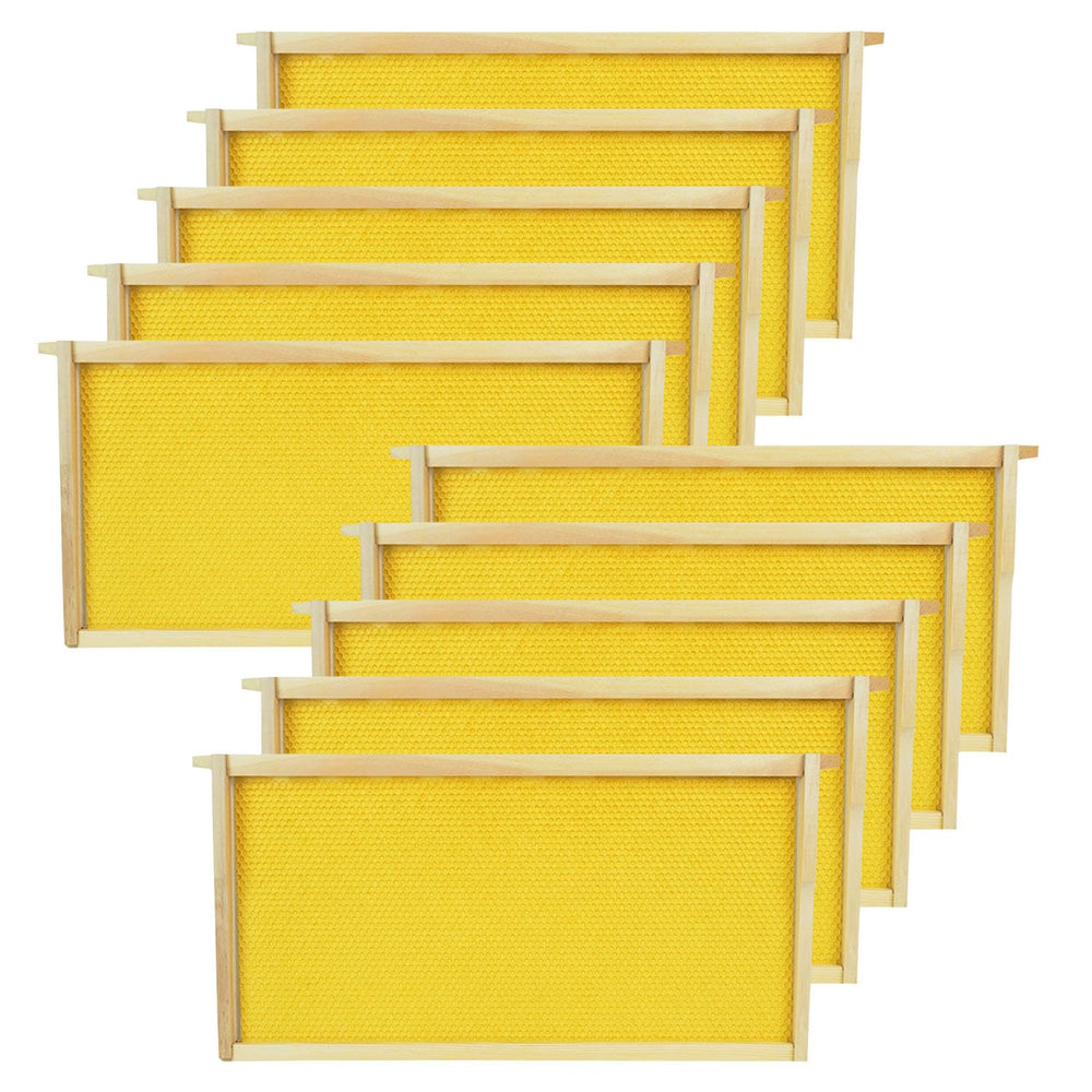 HiveSweet Deep Brood Beehive Frame front view