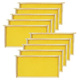 HiveSweet Deep Brood Beehive Frame front view
