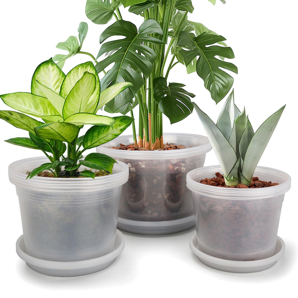 HKKZYT 8-inch clear nursery pot with saucer