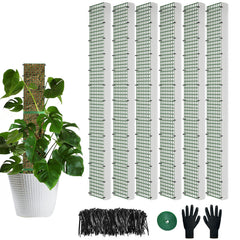 HOLANHING 40" D Shape Moss Pole front view with moss attached